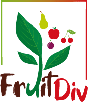 FRUIDIV LOGO