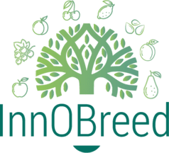 Logo innobreed