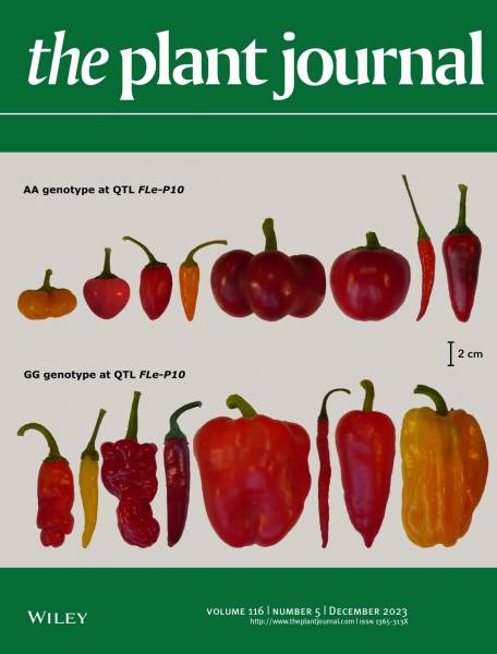 Plant journal VL 2