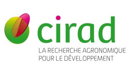 Eggplant CIRAD + privé n°2 (2019 - 2022)